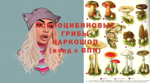 кокс Баксан