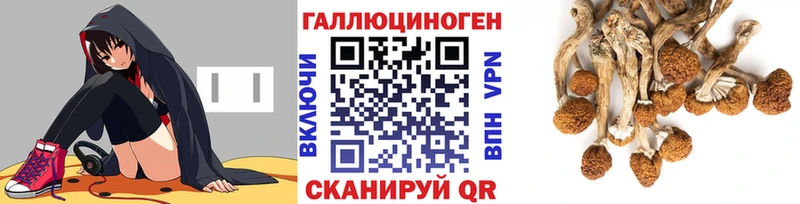 Псилоцибиновые грибы GOLDEN TEACHER  дарнет шоп  Лакинск 